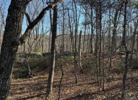 Lot 7 & 8 Hidden Ritters Valley, Capon Bridge, WV 26711