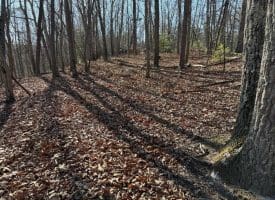 Lot 7 & 8 Hidden Ritters Valley, Capon Bridge, WV 26711