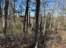 Lot 7 & 8 Hidden Ritters Valley, Capon Bridge, WV 26711