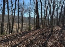 Lot 7 & 8 Hidden Ritters Valley, Capon Bridge, WV 26711