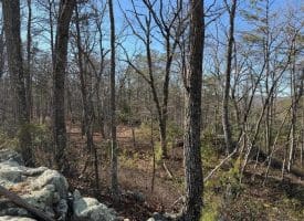 Lot 7 & 8 Hidden Ritters Valley, Capon Bridge, WV 26711