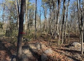 Lot 7 & 8 Hidden Ritters Valley, Capon Bridge, WV 26711