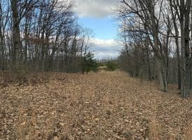 1489 PAINTER HOLLOW RD, FORT ASHBY WV 26719