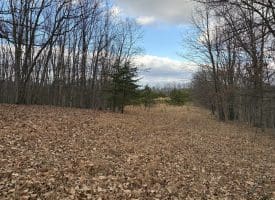 1489 PAINTER HOLLOW RD, FORT ASHBY WV 26719