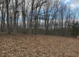 1489 PAINTER HOLLOW RD, FORT ASHBY WV 26719