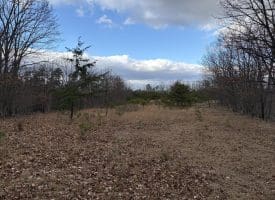 1489 PAINTER HOLLOW RD, FORT ASHBY WV 26719