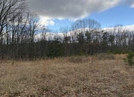 1489 PAINTER HOLLOW RD, FORT ASHBY WV 26719