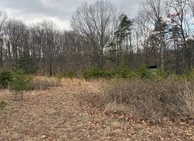 1489 PAINTER HOLLOW RD, FORT ASHBY WV 26719