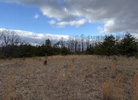 1489 PAINTER HOLLOW RD, FORT ASHBY WV 26719