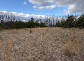 1489 PAINTER HOLLOW RD, FORT ASHBY WV 26719