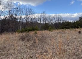 1489 PAINTER HOLLOW RD, FORT ASHBY WV 26719