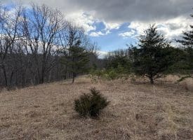 1489 PAINTER HOLLOW RD, FORT ASHBY WV 26719