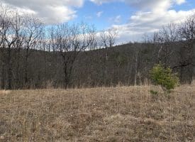 1489 PAINTER HOLLOW RD, FORT ASHBY WV 26719