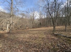 16 Rolling Acres Drive, Old Fields, WV 26845