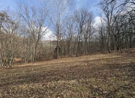 16 Rolling Acres Drive, Old Fields, WV 26845