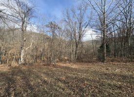 16 Rolling Acres Drive, Old Fields, WV 26845