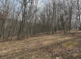 16 Rolling Acres Drive, Old Fields, WV 26845