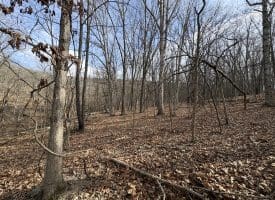 16 Rolling Acres Drive, Old Fields, WV 26845