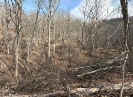 16 Rolling Acres Drive, Old Fields, WV 26845