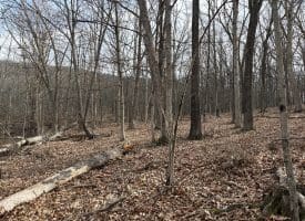 16 Rolling Acres Drive, Old Fields, WV 26845