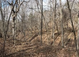 16 Rolling Acres Drive, Old Fields, WV 26845