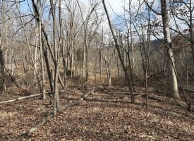 16 Rolling Acres Drive, Old Fields, WV 26845