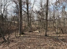 16 Rolling Acres Drive, Old Fields, WV 26845