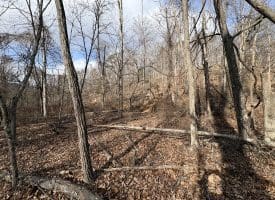 16 Rolling Acres Drive, Old Fields, WV 26845