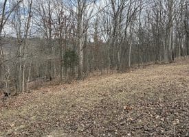 16 Rolling Acres Drive, Old Fields, WV 26845
