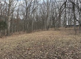 16 Rolling Acres Drive, Old Fields, WV 26845