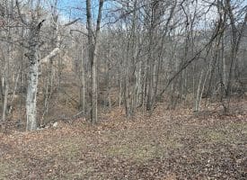 16 Rolling Acres Drive, Old Fields, WV 26845