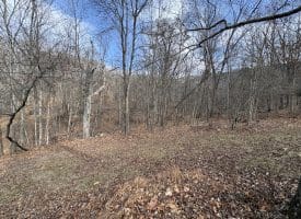 16 Rolling Acres Drive, Old Fields, WV 26845