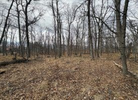 2780 High Knob Road, Old Fields, WV 26845