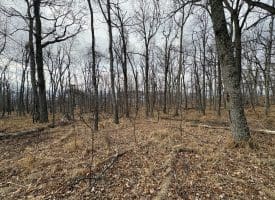 2780 High Knob Road, Old Fields, WV 26845