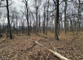 2780 High Knob Road, Old Fields, WV 26845