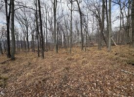 2780 High Knob Road, Old Fields, WV 26845