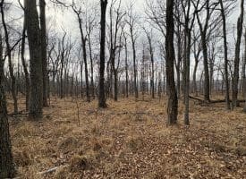 2780 High Knob Road, Old Fields, WV 26845