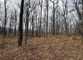 2780 High Knob Road, Old Fields, WV 26845