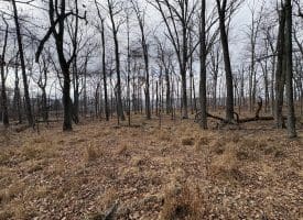 2780 High Knob Road, Old Fields, WV 26845