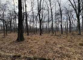 2780 High Knob Road, Old Fields, WV 26845