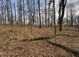 2780 High Knob Road, Old Fields, WV 26845