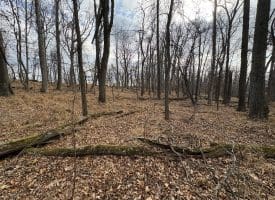 2780 High Knob Road, Old Fields, WV 26845