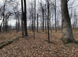 2780 High Knob Road, Old Fields, WV 26845