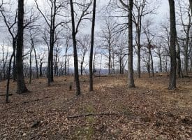 2780 High Knob Road, Old Fields, WV 26845