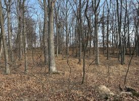 2780 High Knob Road, Old Fields, WV 26845