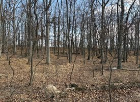 2780 High Knob Road, Old Fields, WV 26845