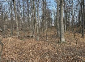 2780 High Knob Road, Old Fields, WV 26845