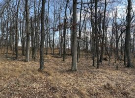 2780 High Knob Road, Old Fields, WV 26845