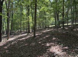 16 Rolling Acres Drive, Old Fields, WV 26845