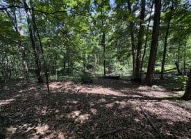 16 Rolling Acres Drive, Old Fields, WV 26845